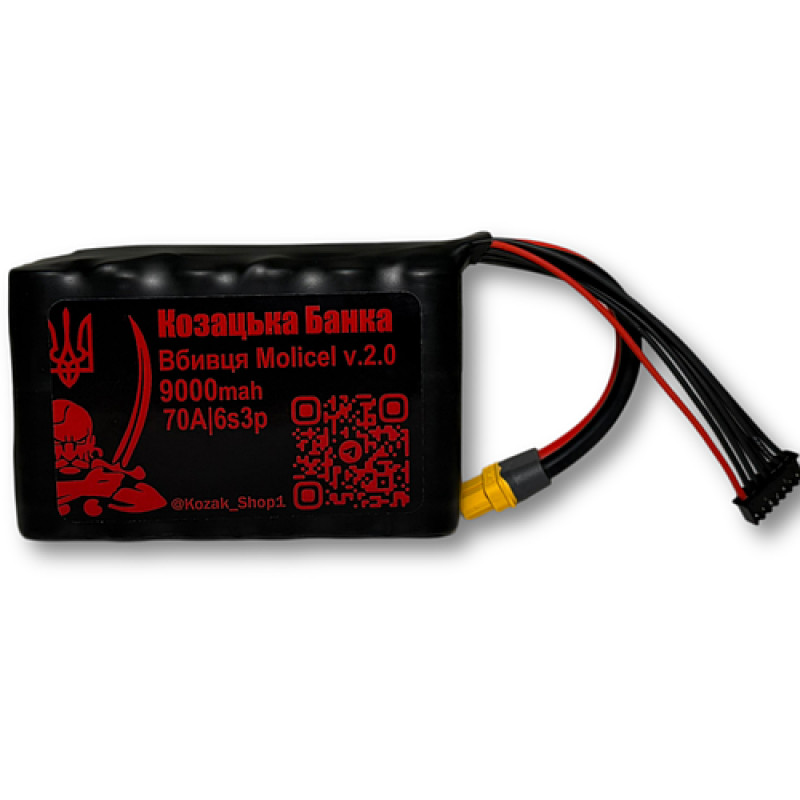 6S3P Molicel Вбивця v.2.0 9000мАг 70A 18650 Акумулятор Li-Ion для FPV дрона «Козацька Банка»